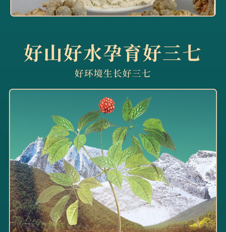 San Qi Notoginseng Root Tian Qi Dried Slices 500g Yunnan Wenshan Traditional Herbal Decoction Pieces specifications