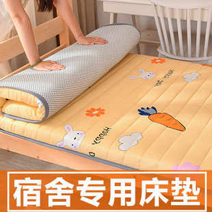 College Student Dormitory Dormitory Mattress Single Sponge Cushion Soft Cushion Home Foldableing Floor Sleeping Mat Mattress Mattress