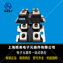 DWM60X2-12N DWM100X2-12N DWM100X2-06Nȫ�´��l��֏Ͷ��O��