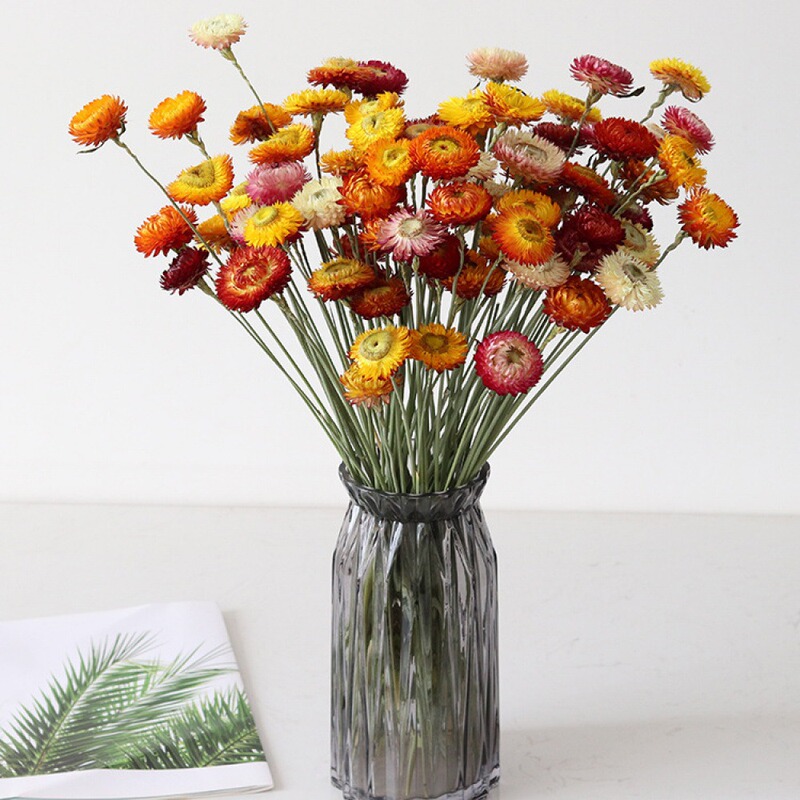 Dried Strawflower, Pineapple Chrysanthemum, Colorful Chrysanthemum, Small Daisy, Orange Pineapple Chrysanthemum, Photography Props, Real Flowers Wholesale, Preserved Flowers Dried Strawflower, Pineapple Chrysanthemum, Colorful Chrysanthemum, Small Daisy, Orange Pineapple Chrysanthemum, Photography Props, Real Flowers Wholesale, Preserved Flowers