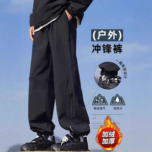 ��HJCAMEL�ӽq�Ӻ�_�hѝ���ﶬ���¿��\�����e���b�Lѝ��