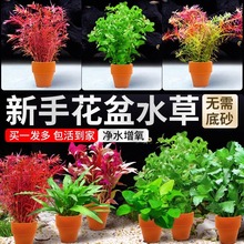 ����С����ˮ���~�׌����쾰����ˮ�������ԃ�ˮ��ֲˮ��ֲ��