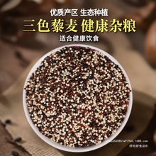 ޼������ɫ޼�����޼���׼t�׺�����s�Z�ּZ��ʳ޼���