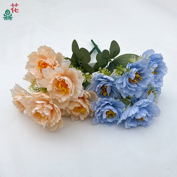 6 Bobo Peony puts the pine pine chrysanthemum commercial beauty Chen…
