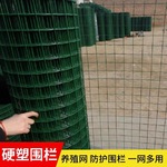 湖南广西硬塑荷兰网防锈耐用10年钢丝果园网小孔养鸡鸭隔离网