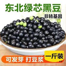 东北农家 新货绿芯黑豆打豆浆乌豆 青仁自种绿芯黑豆多规格可