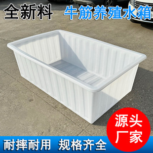 ���l����ˮ��Ӻ��̖�\���L����Ͱ�B�~�B�������D�伏����ˮ�a�B