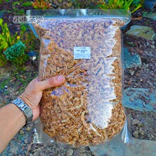 ˮ̦�����M��ʳ�xֲ������m����ω��ʯ������̦�\��