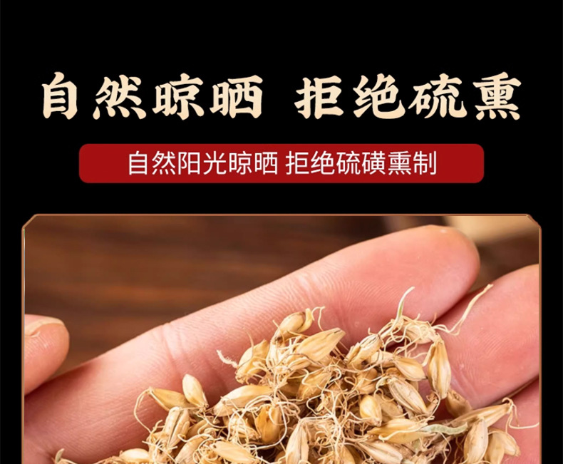 Dried Malt Barley Sprout Mai Ya 500g Traditional Chinese Herb for Decoction and Herbal Tea preparation