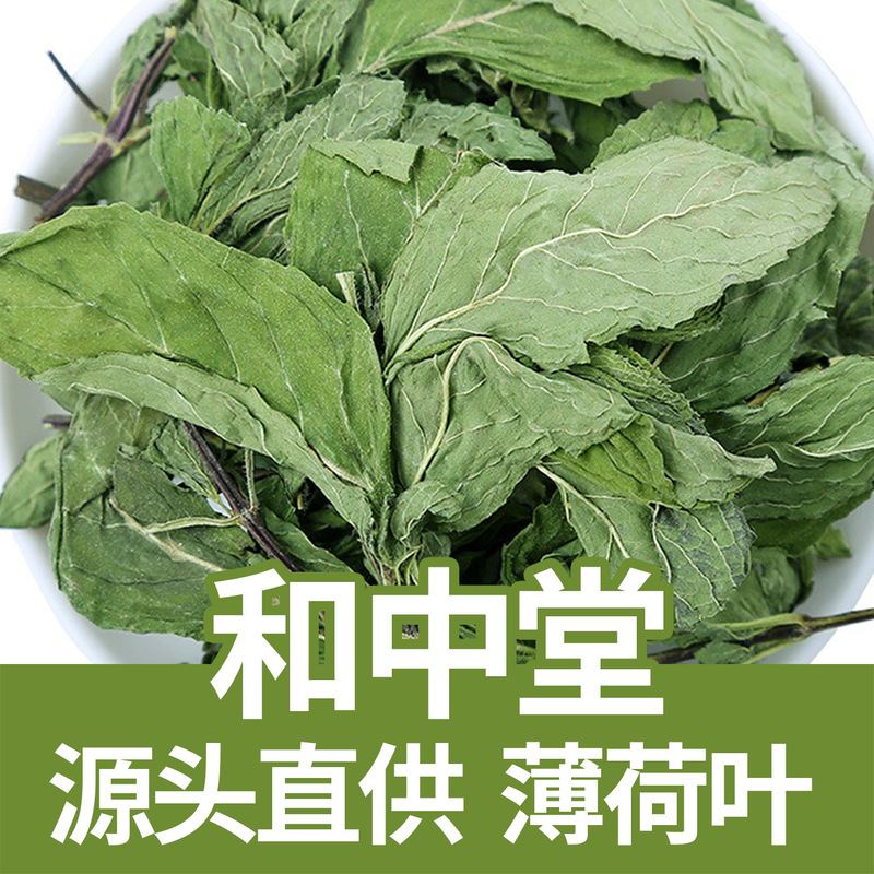 Wholesale mint leaves, Chinese herbal medicine, new mint from Taihe County, clean, free of impurities, sulfur-free, mint tea from the source factory Wholesale mint leaves, Chinese herbal medicine, new mint from Taihe County, clean, free of impurities, sulfur-free, mint tea from the source factory