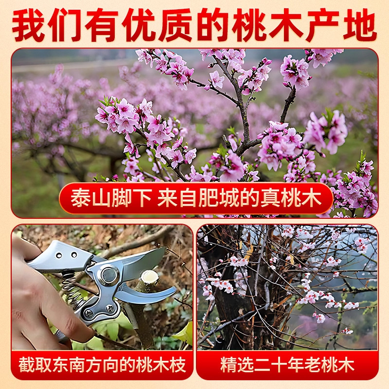 代发老桃木棍挂件随身天然东南枝条宝宝婴儿童原木手工桃木东南枝|undefined