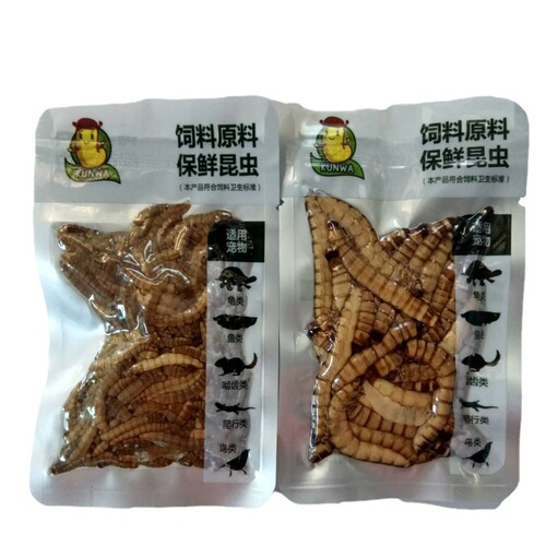 Ornamental fish nutritional insects, scorpion feed, barley worms, mealworms, centipedes, crickets, cockroaches, fish, birds and turtles pet feed