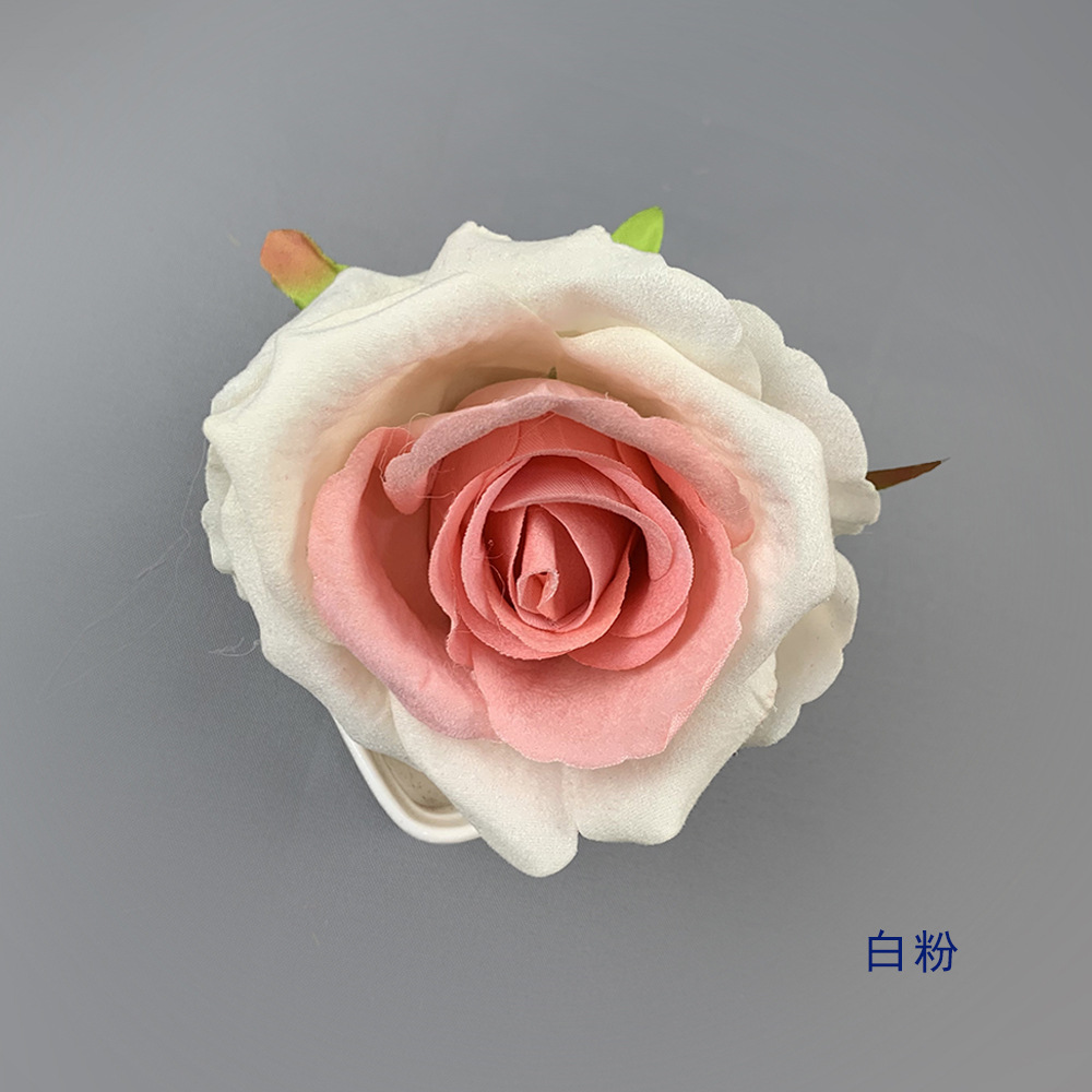 화이트 핑크