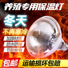 ll保温灯养殖场红外线仔猪小鸡养殖取暖加热灯泡兽用小猪保温