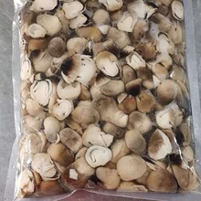 古甜 清水草菇对半切 草菇片 出口草菇　清水草菇片　草菇罐头