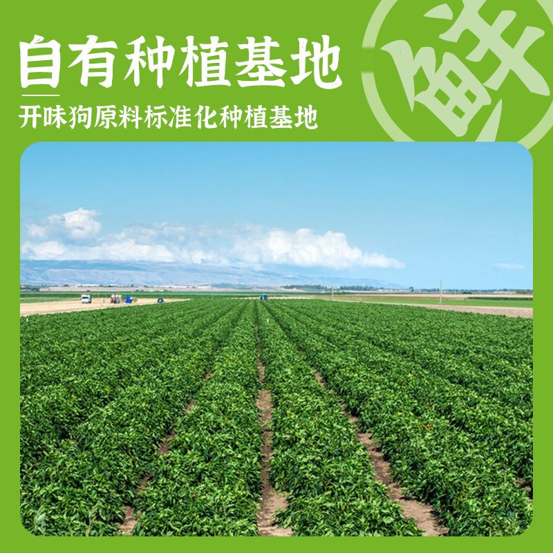 开味狗青椒酱150g拌饭拌面夹馒头皮蛋青椒下饭辣椒酱！批发|undefined
