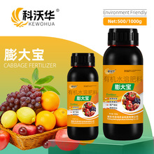 �����A��󌚴ټ����������������ѹ�����������ɫ���a�ЙC��