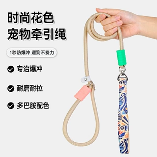 跨境狗狗P绳高颜值防打结外出遛狗绳中大型犬防爆冲专业训狗绳P链