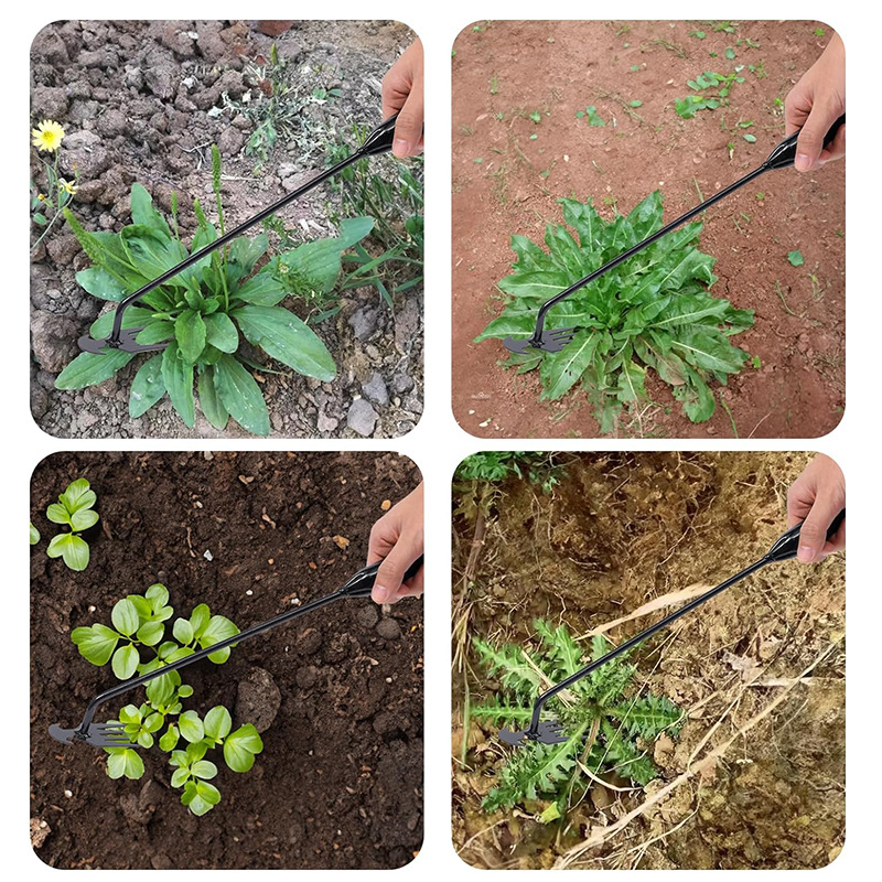 81tCISTGefL._AC_SL1500_