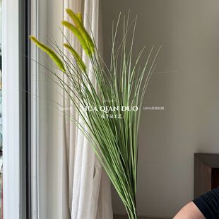 ��β�ݻ���ʽ�JȔ�ٻ������Y�쾰����GֲĪ�λ��@�̈�ɭϵ���