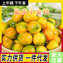 �V������С������r�Fժ������ˮ����Ƥ�۽������ۼ������l���]