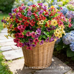 �羳7���ȼ������_�m���滨���콁�������Ҿӑ����b��R�d