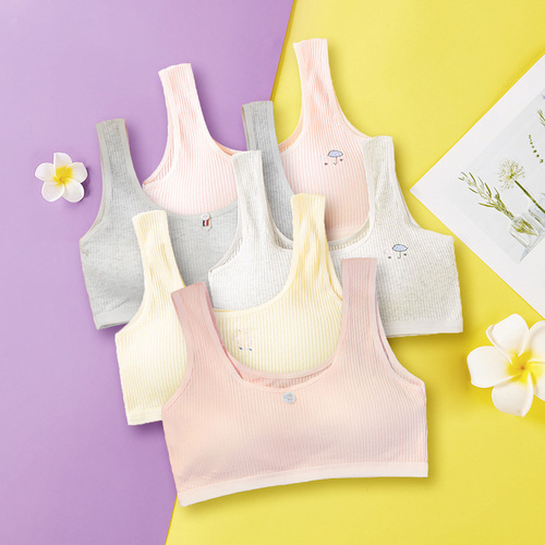 Underwear for girls, developmental stage, student girls, high school girls, pure cotton, small backless bra for girls, junior high school girls' underwear