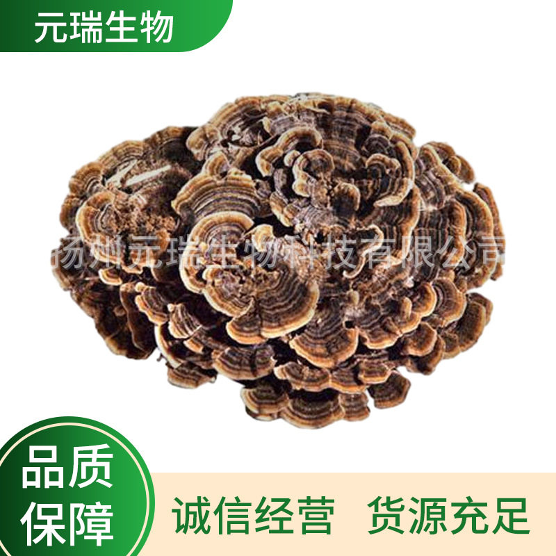 云芝多糖提取液厂家供应植物提取物云芝提取物 保健品原料25kg