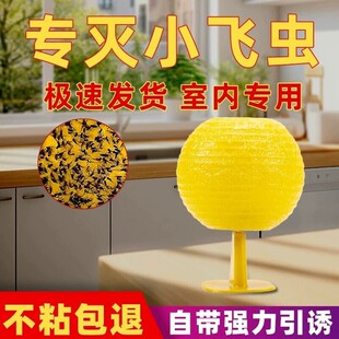 ��ω�T�����҃�ȥ��С�w�x���ǜ皢�����w�x�N����xճ�x���T�nω