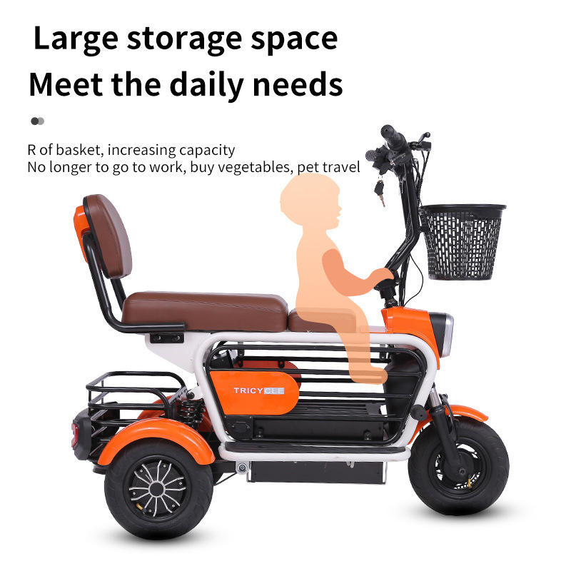 Electric Tricycle for Elderly/Pet Use