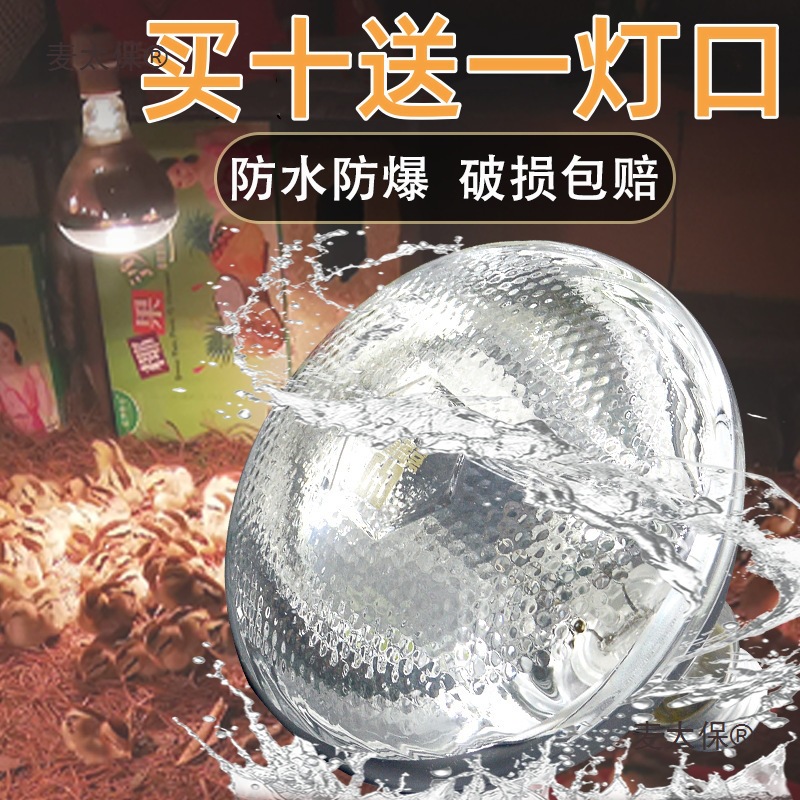 猪用保温灯养殖场专用小鸡育雏保暖设备猪场加温加热烤灯取麦太保