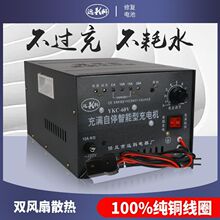 늄���݆܇��늙C48V60V72V��ͣ�U��늳�ˮ�ƿ���ʿ��ٳ����