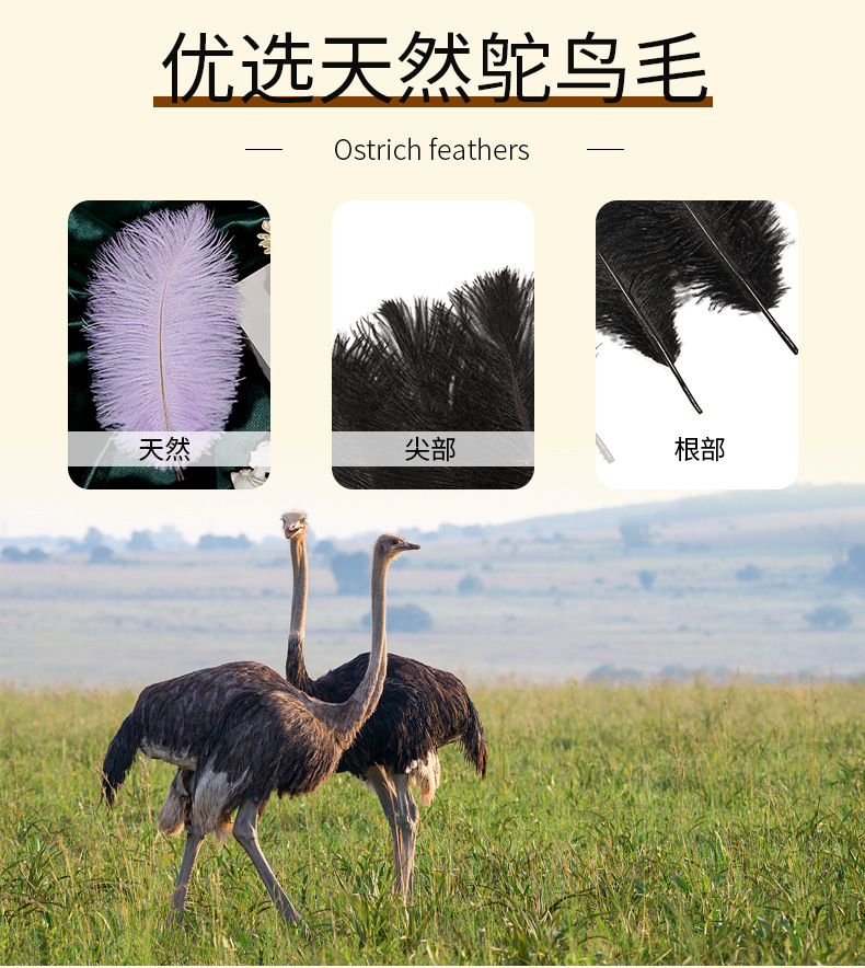 e06515015e17cf17b58c62960de476