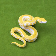 ������ģ����߱P���������S����ģ�̓ɗ����Є��������M���