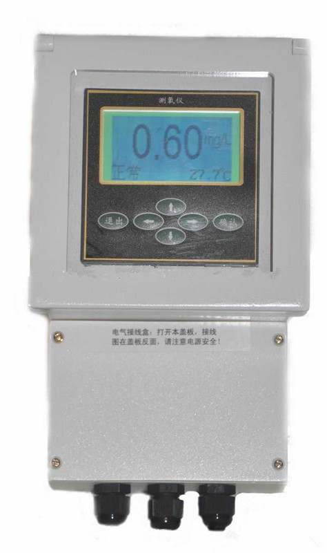 在线式溶解氧测定仪/工业溶氧仪     MHY-2028BG