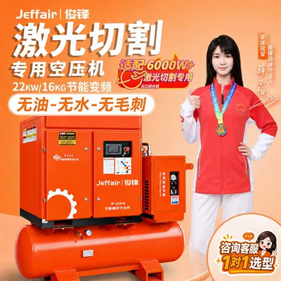 Hava kompressorları — Screw Air Pump, Energy-Saving