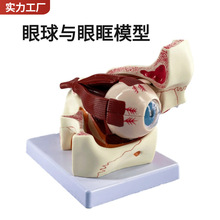 ����ģ�������c�ۿ��Ŵ�ģ�ͽ����۾����⼡ģ�ͽY����ʾ�̌W�t�W