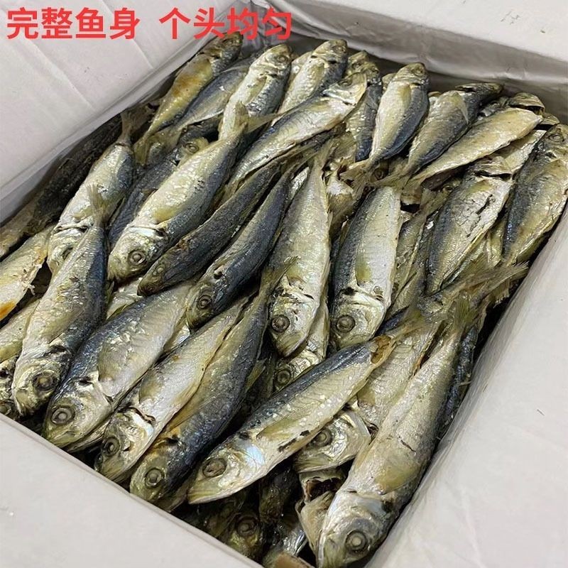 巴浪鱼干池鱼淡干风干野生海味干货鱼干海产品