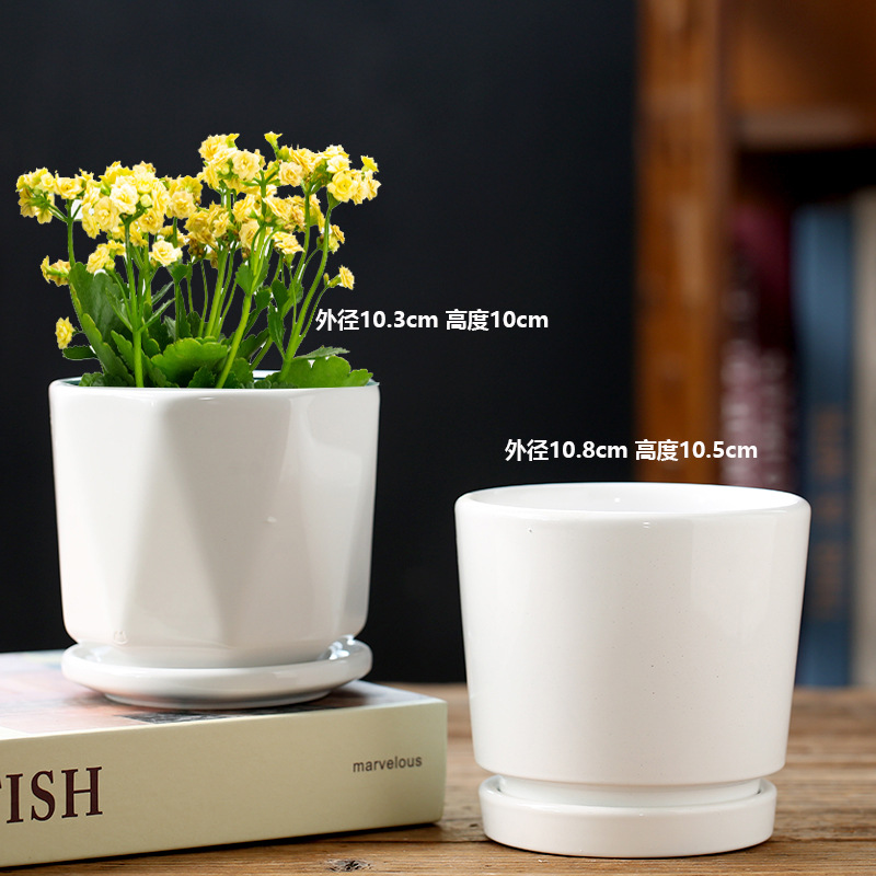 Two pure white life (ceramic tray in one)