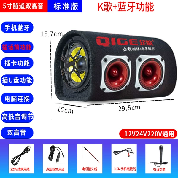 Dual treble (5-inch Bluetooth + karaoke function) standard