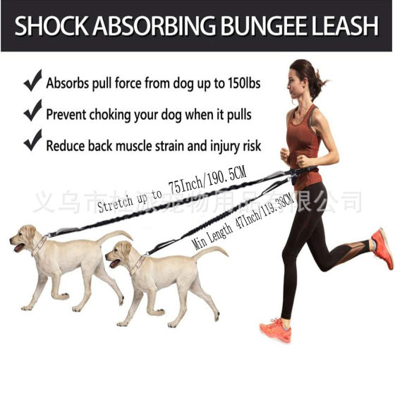 Amazon Pet Leash Outdoor Running Reflective Double Telescopic Dog Leash Dog Chain Leash Pet Supplies