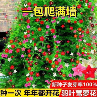 ���~�\�}���N��ͥԺ����ֲ������ǻ������������̨�ļ����ܷNZ