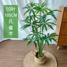 ���W�L����ֲ���ȸľ�����Դ��Ϳ͏d����辰�Ҽ٘���bGֲ