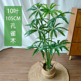北欧风仿真植物孔雀木假盆栽大型客厅落地盆景室假树内装饰绿植