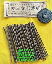 蓍草文王蓍草羑里蓍草筹策蓍草卦易经文化用品