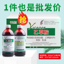 50%�Ҳݰ��Ҳ��@���׻������Ͳ��������]���݄���ط����