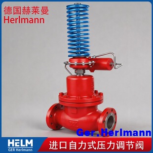 �M������ʽ�����{���y �����R��Herlmann �yǰ�y��ָ�]���p��