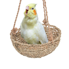 Parakeet, Honey Possum, Sugar Glider, Squirrel, Parrot, Summer Warmth Nest, Hanging Nest, Hammock, Grass Weaving, Hanging Tube Toy