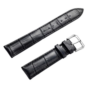 Watch box regulator belt