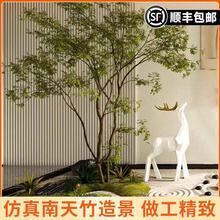 �����쾰������Gֲ�Ҿ��bGֲ�҃ȿ͏d�Ƶ��b����ԾGֲ�[��